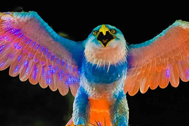 Portela vai abrir vagas em carro alegórico 