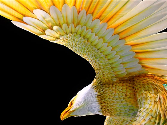 Sábado terá programação dupla na Portela por conta dos 93 anos da escola